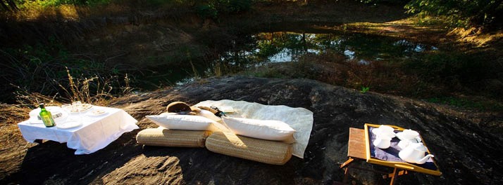 1460/Singinawa Jungle Lodge - Kanha National Park 09.jpg